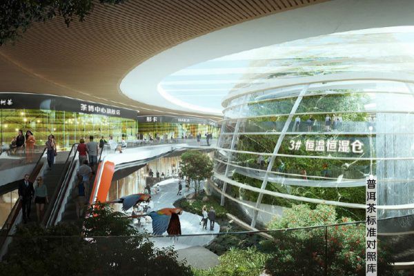 策划文本普洱茶博物馆概念规划方案 第2003期