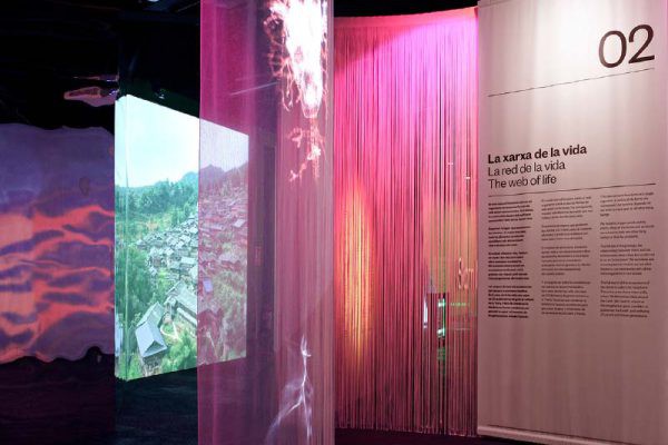 精选案例 索姆·纳图拉展览 第5063期