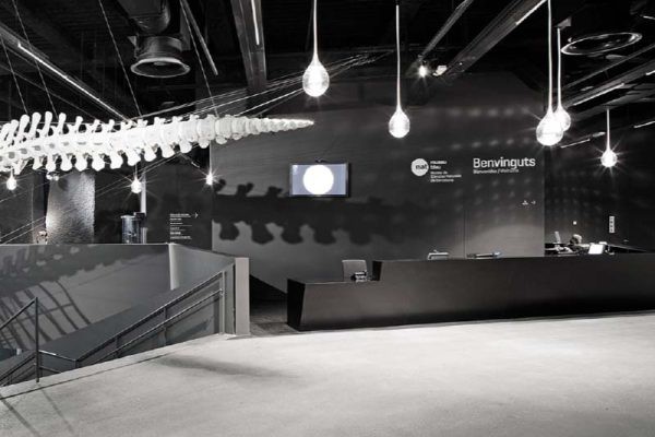 精选案例 布劳博物馆 第5083期