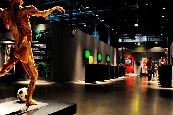 精选案例 大连金石滩博物馆 5101期