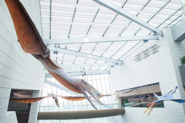 人工与自然的交响-成都自然博物馆迎来开馆 第11335期