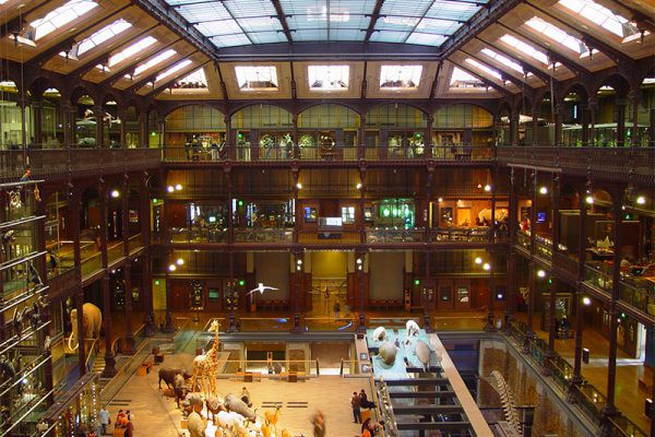 巴黎自然博物馆 第11299期