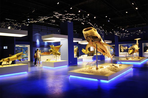 大连金石滩生命奥秘博物馆 第11301期