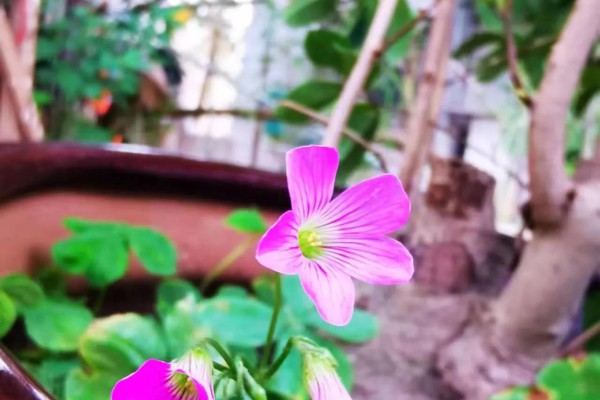 成住坏空-因缘和合