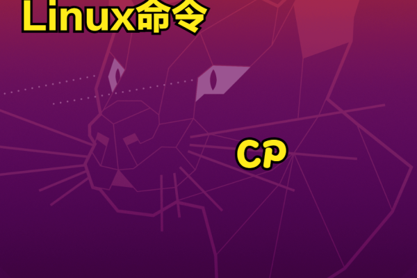 linux查看时间命令-Linux命令学习——CP命令