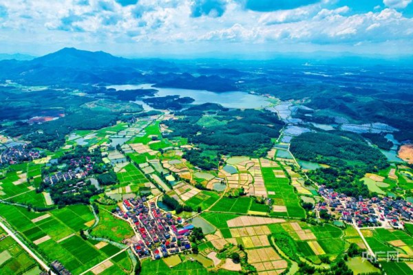 屋舍俨然-「航拍赣鄱」特色产业为乡村振兴“构图上色”