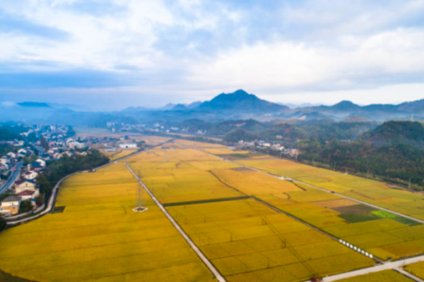 屋舍俨然-钱塘江·名家走笔丨山乡物语