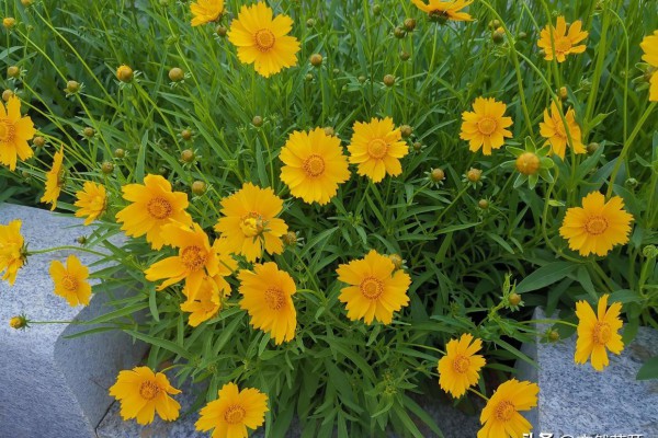 特此汇报-请示和报告的区别与联系