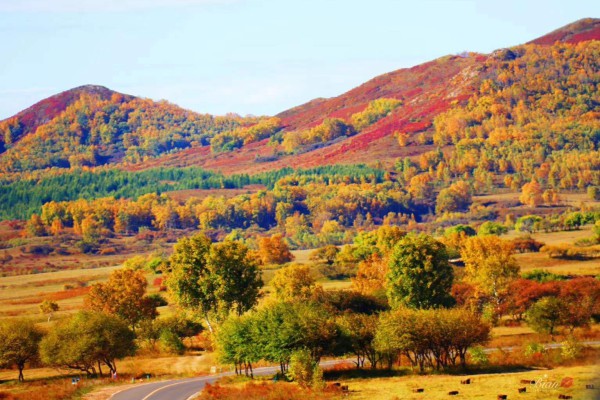 一顿操作猛如虎