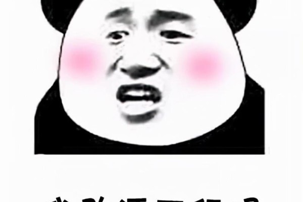 360邮箱登录入口-靠谱点了没 网盘速度实测