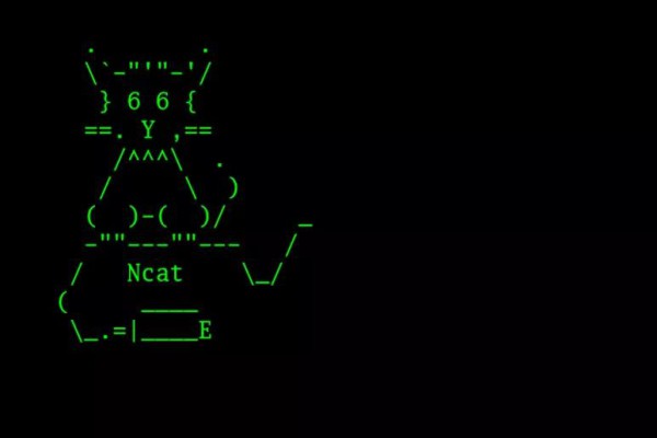 nc命令-10 个例子教你学会 ncat (nc) 命令 | Linux 中国