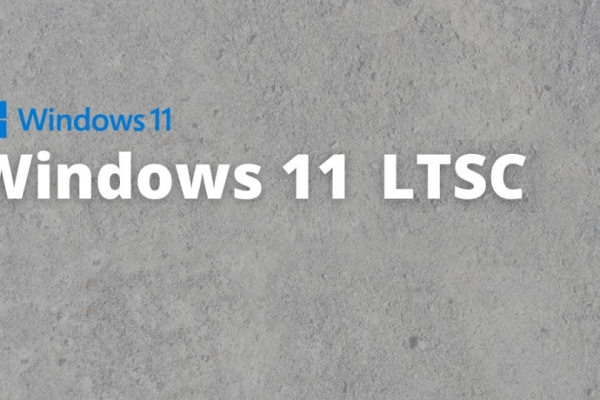 enterprise是什么版本-微软宣布 Windows 11 LTSC