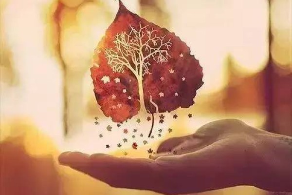 一个像夏天一个像秋天歌词-秋日30首金曲:愿夏日遗憾与秋色平分