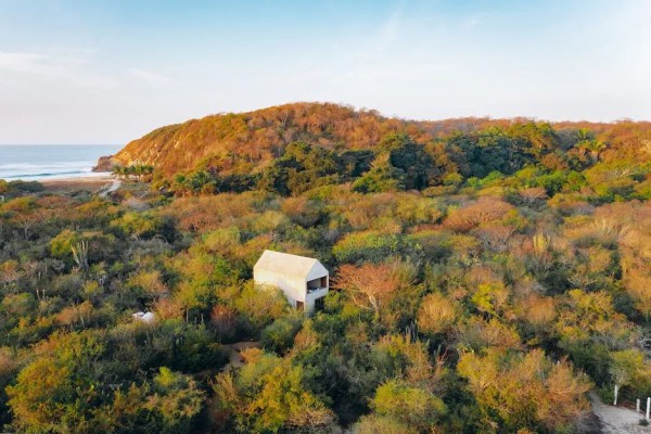 积极同义词-遣词造句:提高文章表达能力的词汇和句式技巧