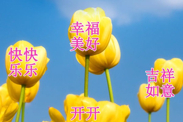 周二问好早上好朋友,最新早安早上好祝福语问候语免打字群发