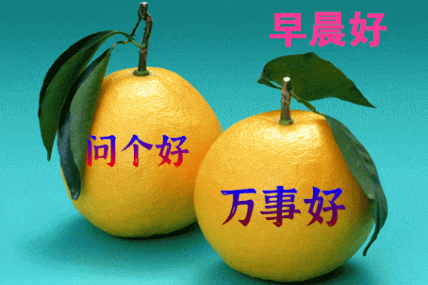 周一问好特别暖心早上好的句子图片,清晨祝福早上好问候语温馨语录
