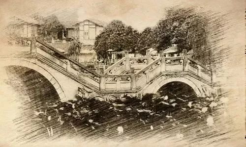 川乌草乌与制川乌制草乌_江西省府建厅萍长制_建制