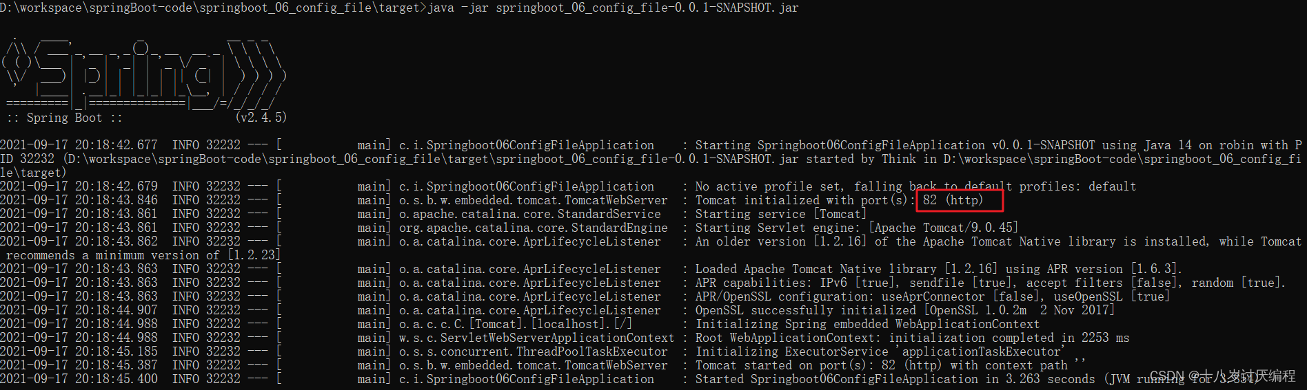 idea如何启动springboot项目_springboot指定配置文件启动_springboot配置热加载