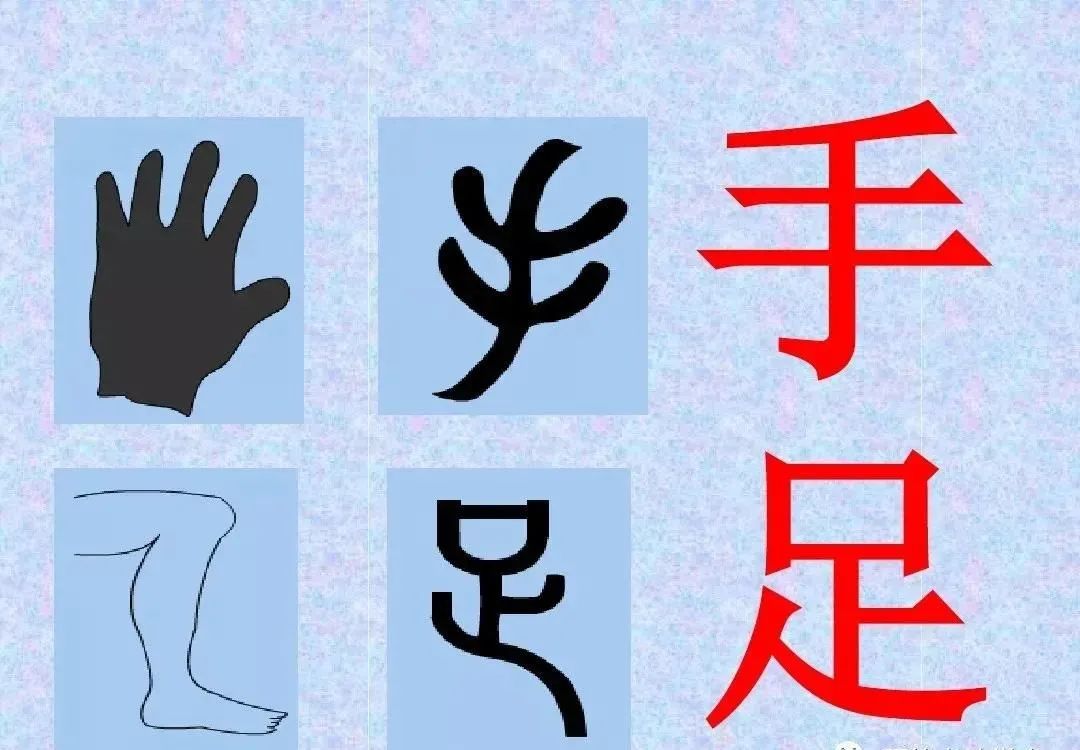sylvia读典啥2·城市拼图^^^读典啥1：怎么样才算《魔_嗳怎么读_辛弃疾词赏读、杜牧诗赏读、柳永词赏读