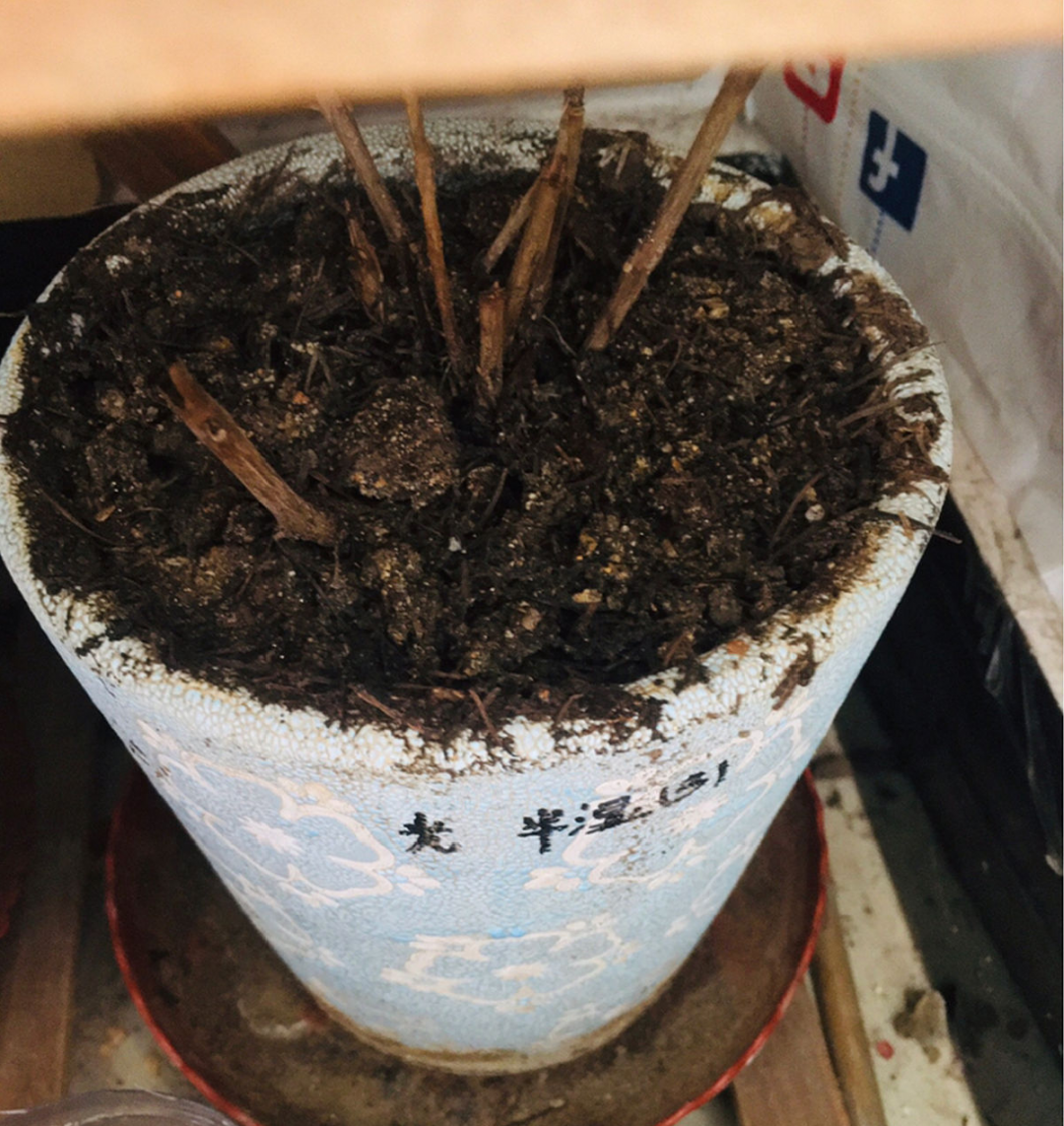 淋雨_淋雨吧影视_淋雨试验箱