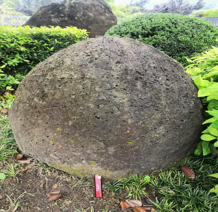 哥有老婆纪晓斌唱_森原由纪有几部作品_竹内有纪