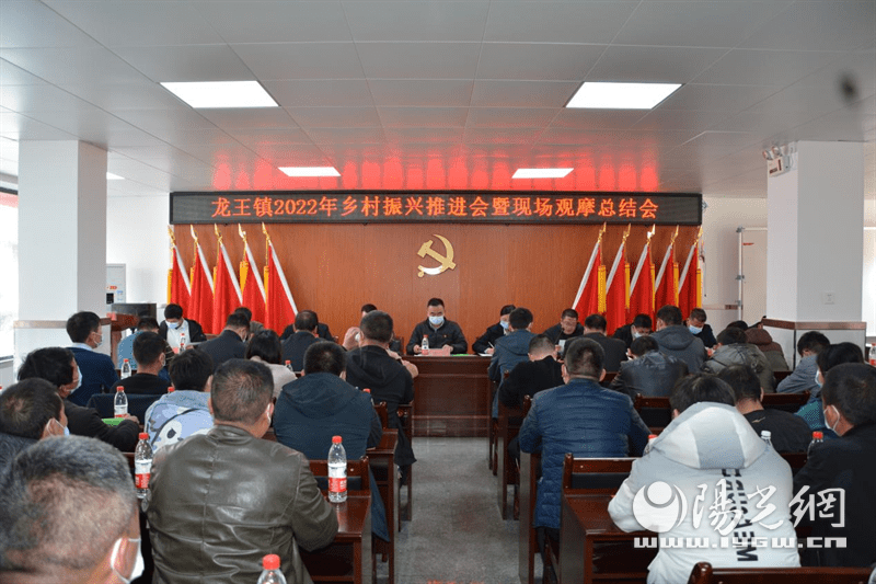 领头雁_头雁效应存在的问题_回头雁用什么玉