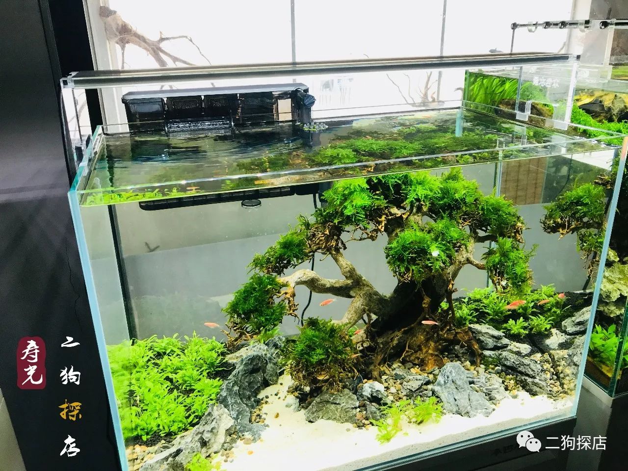 美妙天堂美妙卡制造下载_美妙绝伦_炙手可热势绝伦 慎莫近前丞相嗔